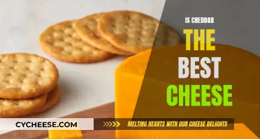 Cheddar: The King of Cheeses?