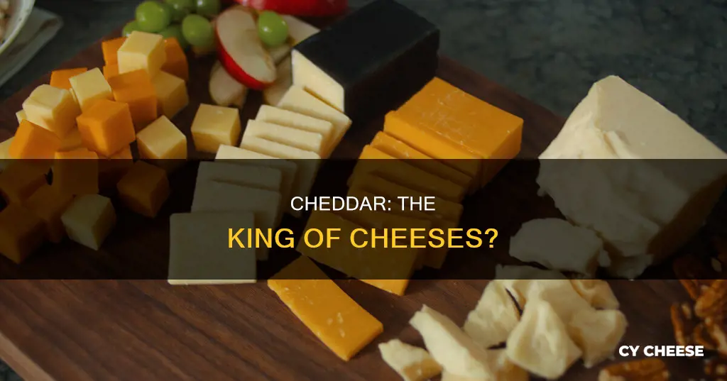 is cheddar the best cheese