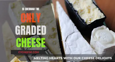 Cheddar and Beyond: Are There Other Graded Cheeses?