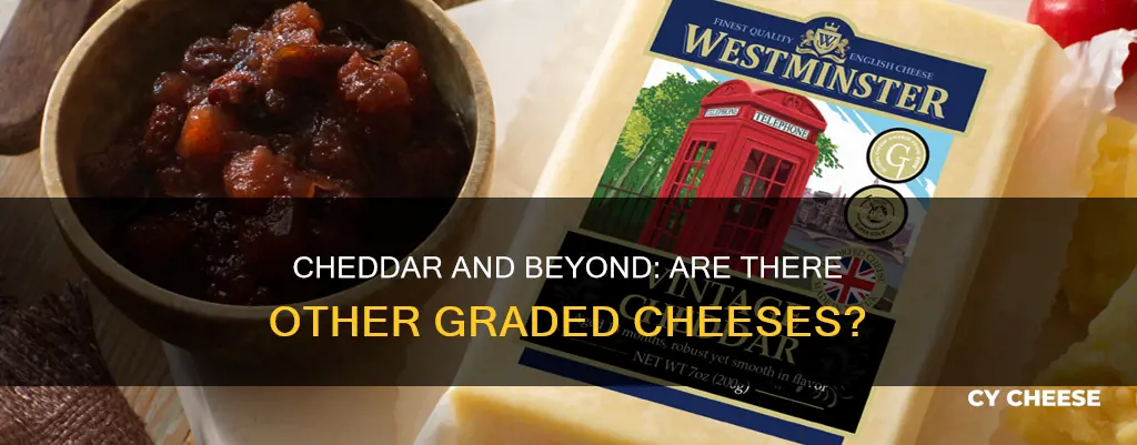 is cheddar the only graded cheese