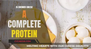 Cheddar Cheese: A Complete Protein Source?