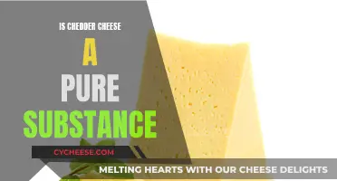 Is Cheddar Cheese a Pure Substance? Unraveling the Mystery