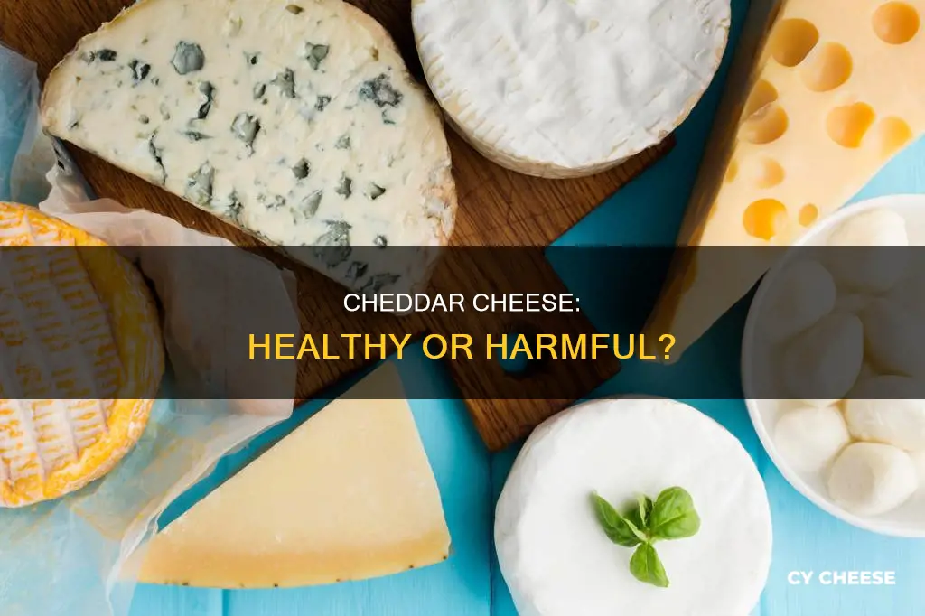 is chedder cheese bad for you