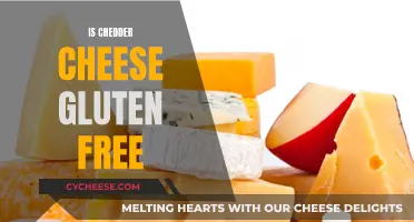 Cheddar Cheese: Gluten-Free Delight or Hidden Hazard?