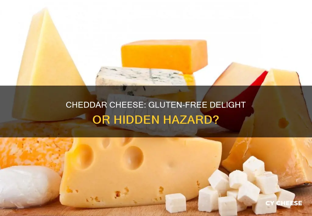 is chedder cheese gluten free