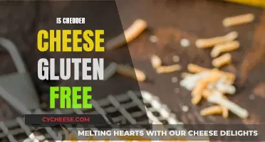 Cheddar Cheese and Gluten: What's the Connection?