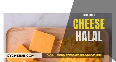 Is Cheddar Cheese Halal? Unveiling the Truth