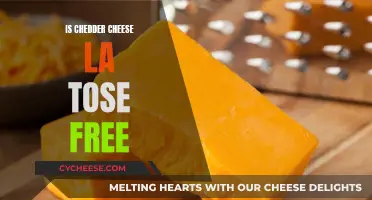 Cheddar Cheese: Tose-Free or Not? Unraveling the Mystery