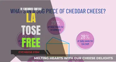 Cheddar Cheese: Is It Really Low-Lactose?