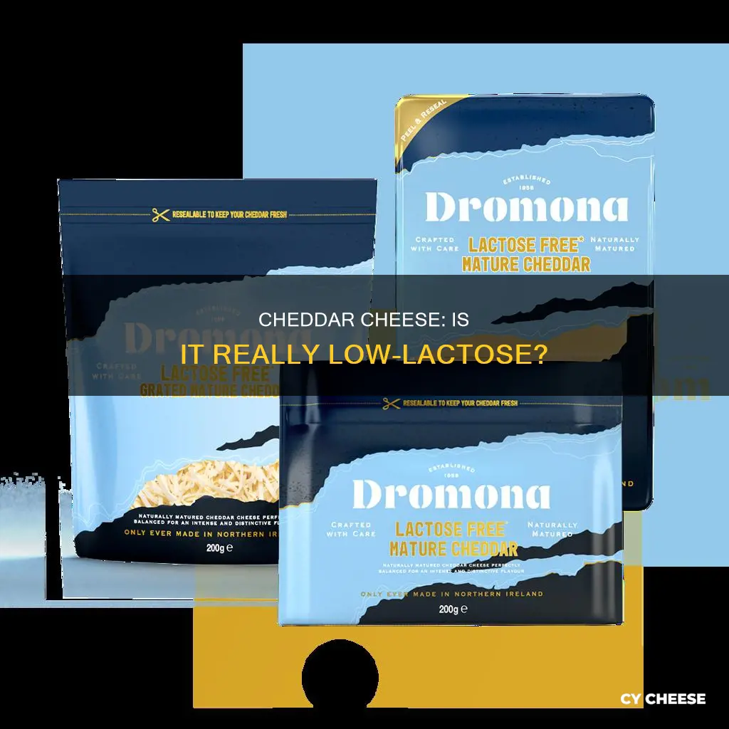 is chedder cheese la tose free