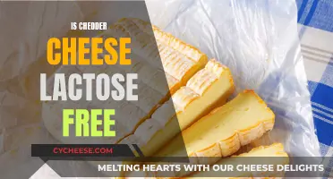 Is Cheddar Cheese Lactose-Free? Unraveling the Dairy Mystery