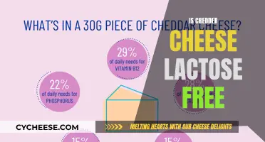 Cheddar Cheese and Lactose: What's the Deal?