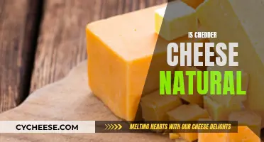 Is Cheddar Cheese Natural? Unveiling the Truth Behind the Creamy Delight