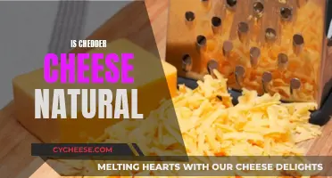 Cheddar Cheese: Natural or Processed?