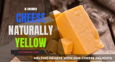 Why Cheddar's Golden Hue: Unveiling Nature's Magic