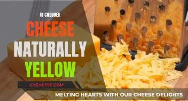 Cheddar Cheese: Why is it Yellow?