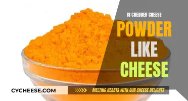 Cheddar Powder: Is It Like Real Cheese?