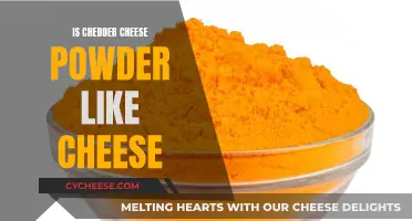 Cheddar Cheese Powder: A Cheesy Alternative?