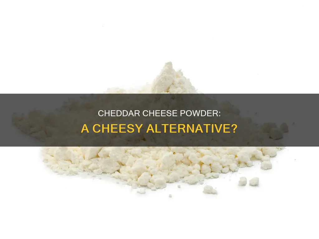 is chedder cheese powder like cheese