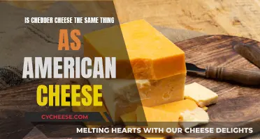 Cheddar vs. American: Unraveling the Cheesy Similarities and Differences