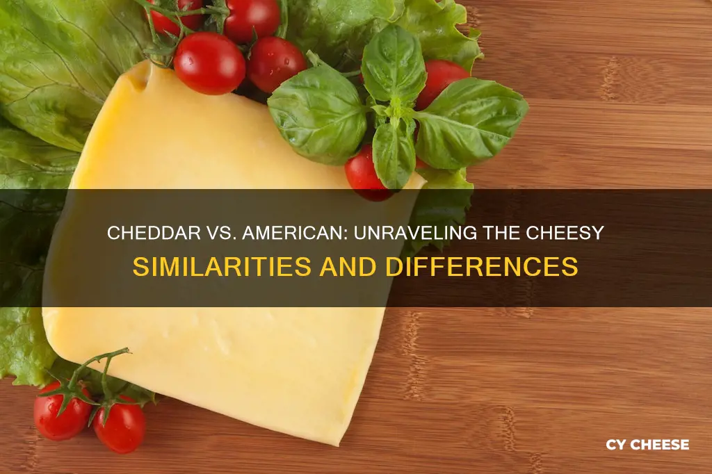 is chedder cheese the same thing as american cheese