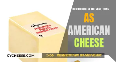 Cheddar and American Cheese: What's the Difference?