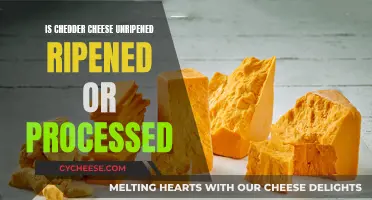 Cheddar's Conundrum: Unraveling the Ripened, Unripened, or Processed Mystery