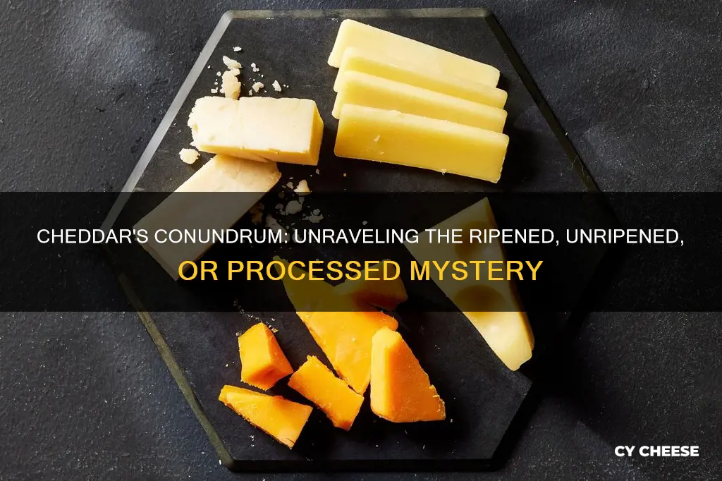 is chedder cheese unripened ripened or processed