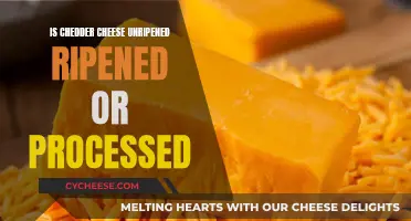 Cheddar Cheese: Understanding Its State of Ripeness
