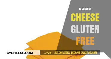 Gluten-Free Cheddar Cheese: What You Need to Know