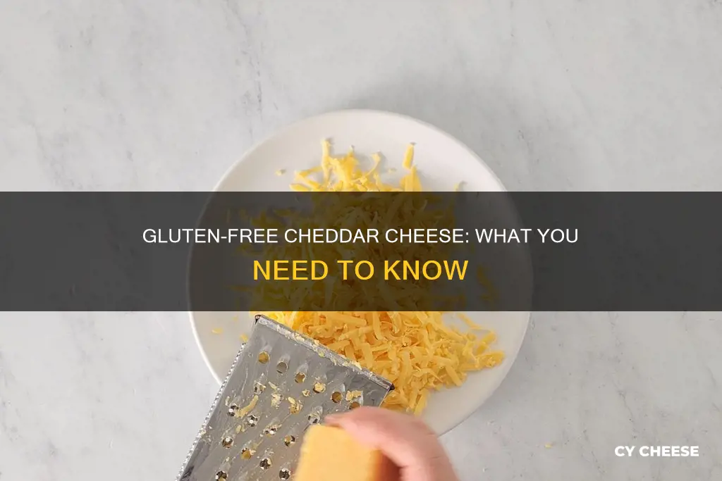 is cheedar cheese gluten free