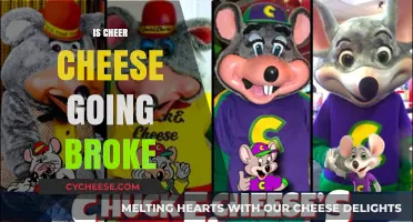 Is Cheer Cheese Going Broke? Financial Struggles of a Beloved Brand