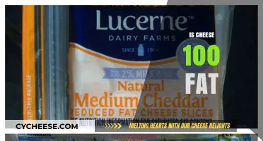 Is Cheese 100% Fat? Debunking Nutritional Myths and Facts