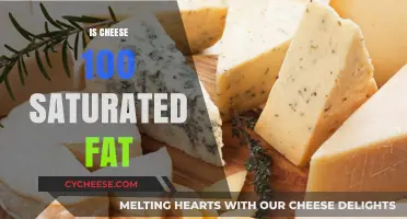 Is Cheese 100% Saturated Fat? Debunking the Myth