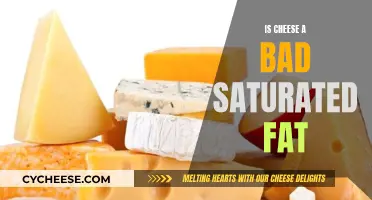 Cheese and Saturated Fats: Friend or Foe?