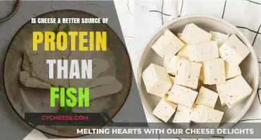 Cheese vs. Fish: Which Offers Superior Protein Benefits?