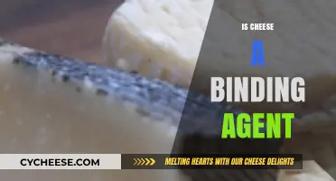 Is Cheese a Binding Agent? Exploring Its Culinary Role and Uses