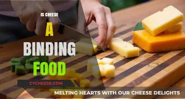 Is Cheese a Binding Food? Exploring Its Digestive Impact and Myths