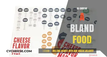 Is Cheese Bland? Exploring the Flavorful Truth Behind This Dairy Delight