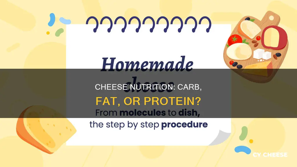 is cheese a carb fat or protein