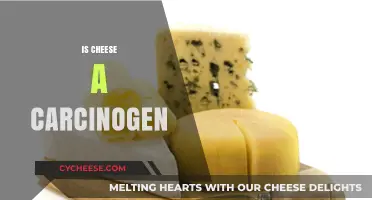 Is Cheese a Carcinogen? Unraveling the Truth Behind the Claims