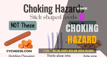 Cheese and Choking: Understanding the Risks and Safe Consumption Tips