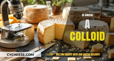 Is Cheese a Colloid? Unraveling the Science Behind Dairy's Texture