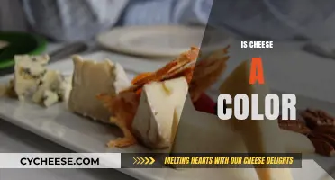 Is Cheese a Color? Exploring the Hue of Dairy Delights