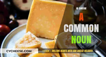 Is Cheese a Common Noun? Exploring Grammar and Culinary Terms