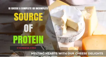 Cheese Protein Power: Complete or Incomplete Source Explained