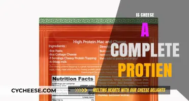 Is Cheese a Complete Protein? Unraveling the Nutritional Truth