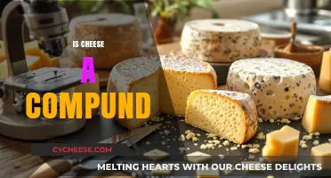 Is Cheese a Compound? Unraveling the Science Behind Dairy's Favorite Food