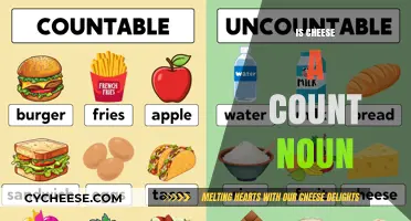 Is Cheese a Count Noun? Exploring the Grammar of Dairy Delights