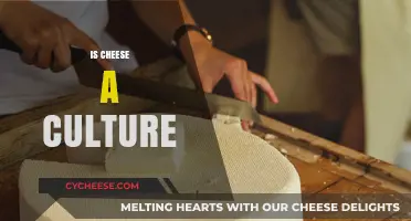 Is Cheese a Culture? Exploring Its Rich History and Global Impact